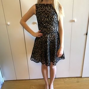 ASOS Mesh Cutout Skater Dress